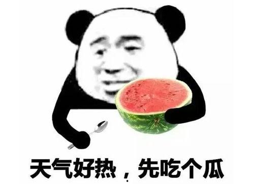 吃瓜比赛表情包,吃瓜比赛表情包盘点，笑料百出！